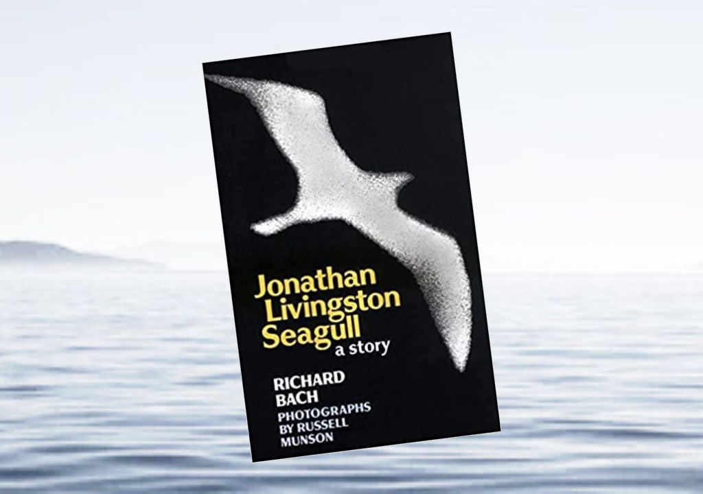 Best Back Deck Read & My Favourite Book