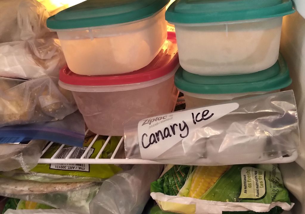 Canary Ice Could Save Your Life