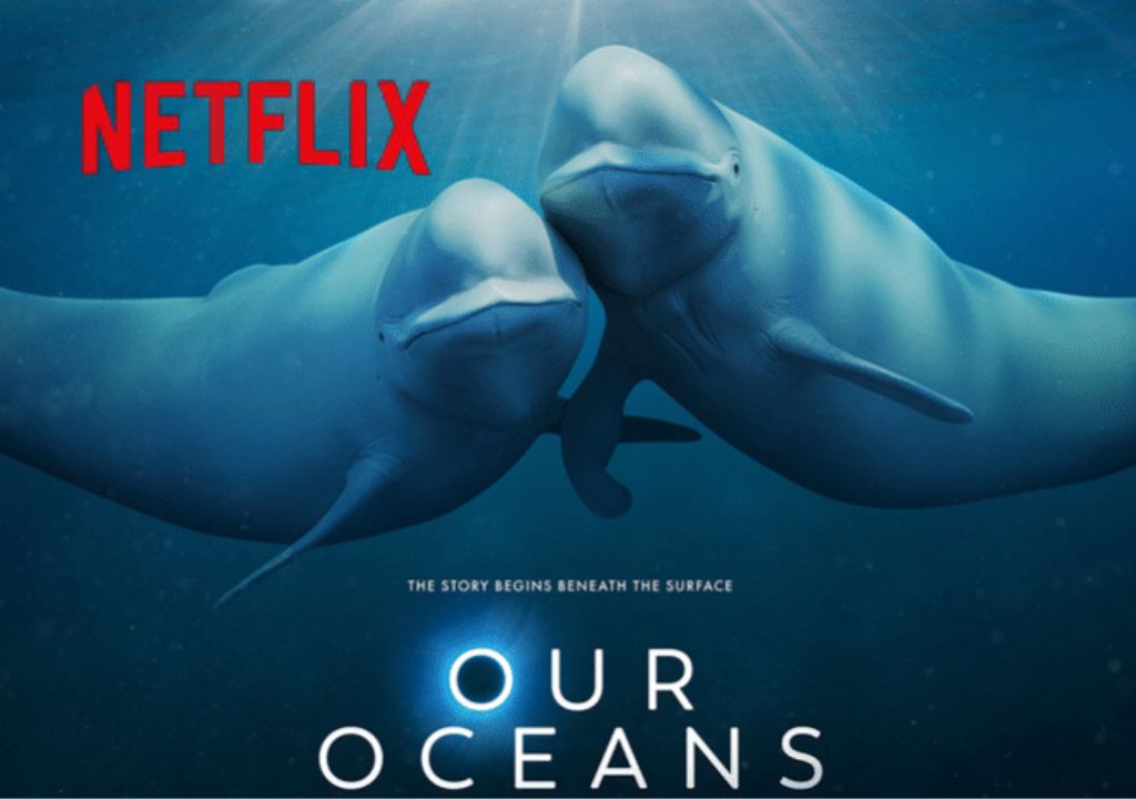 two whales swimming in the water netflix documentary our oceans
