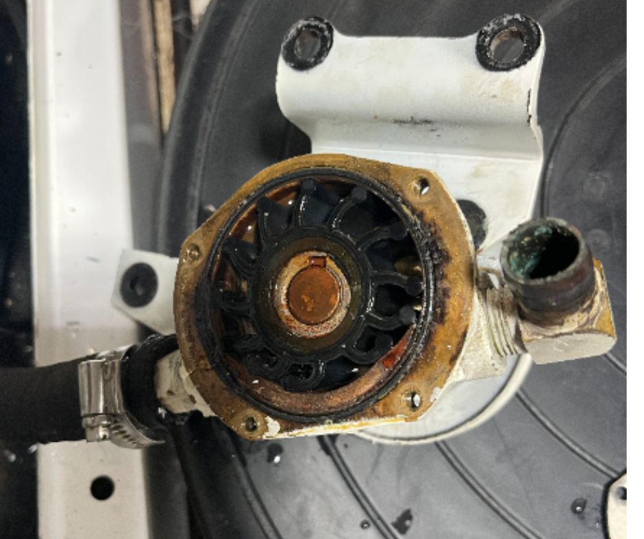 The Day a Jellyfish Tried to Kill My Generator 1 Impeller After Jellyfish Attack