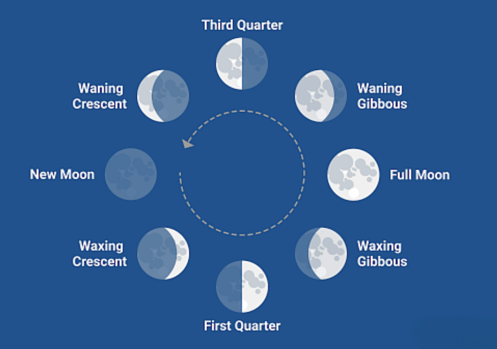 Moon Phases