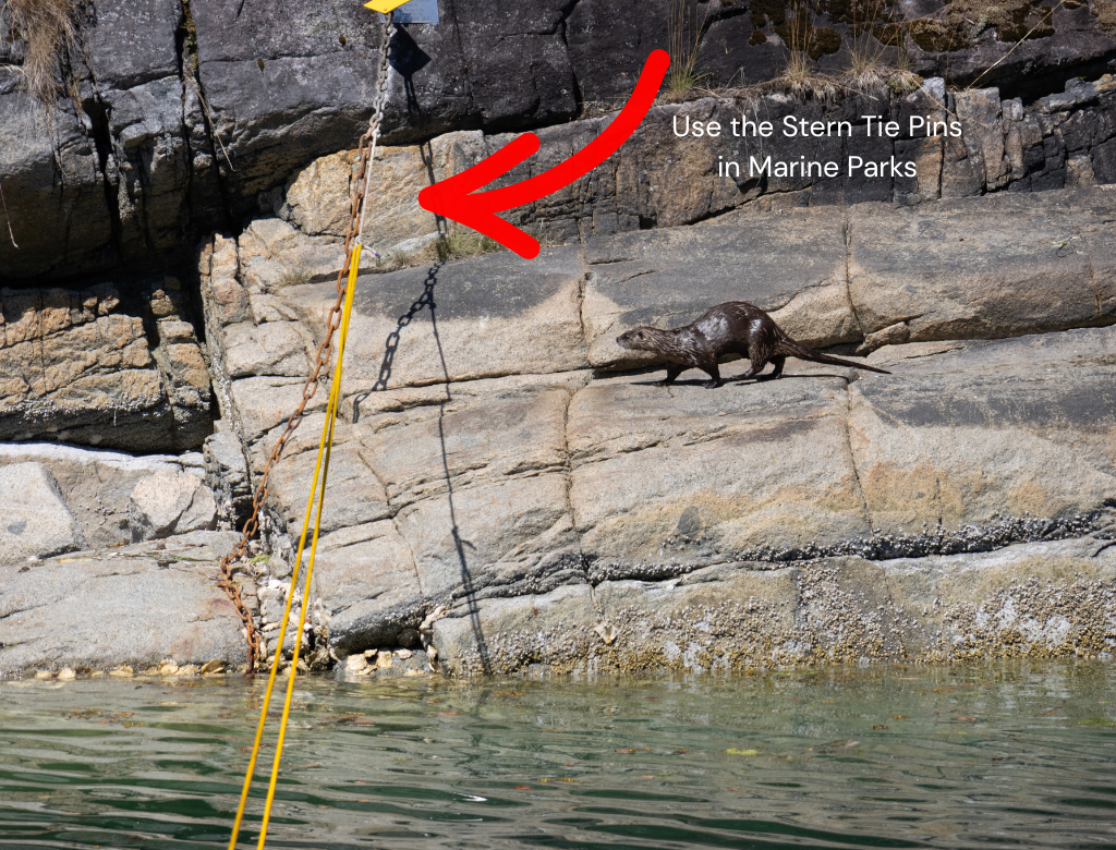 Stern Tie Pins in a Marine Park