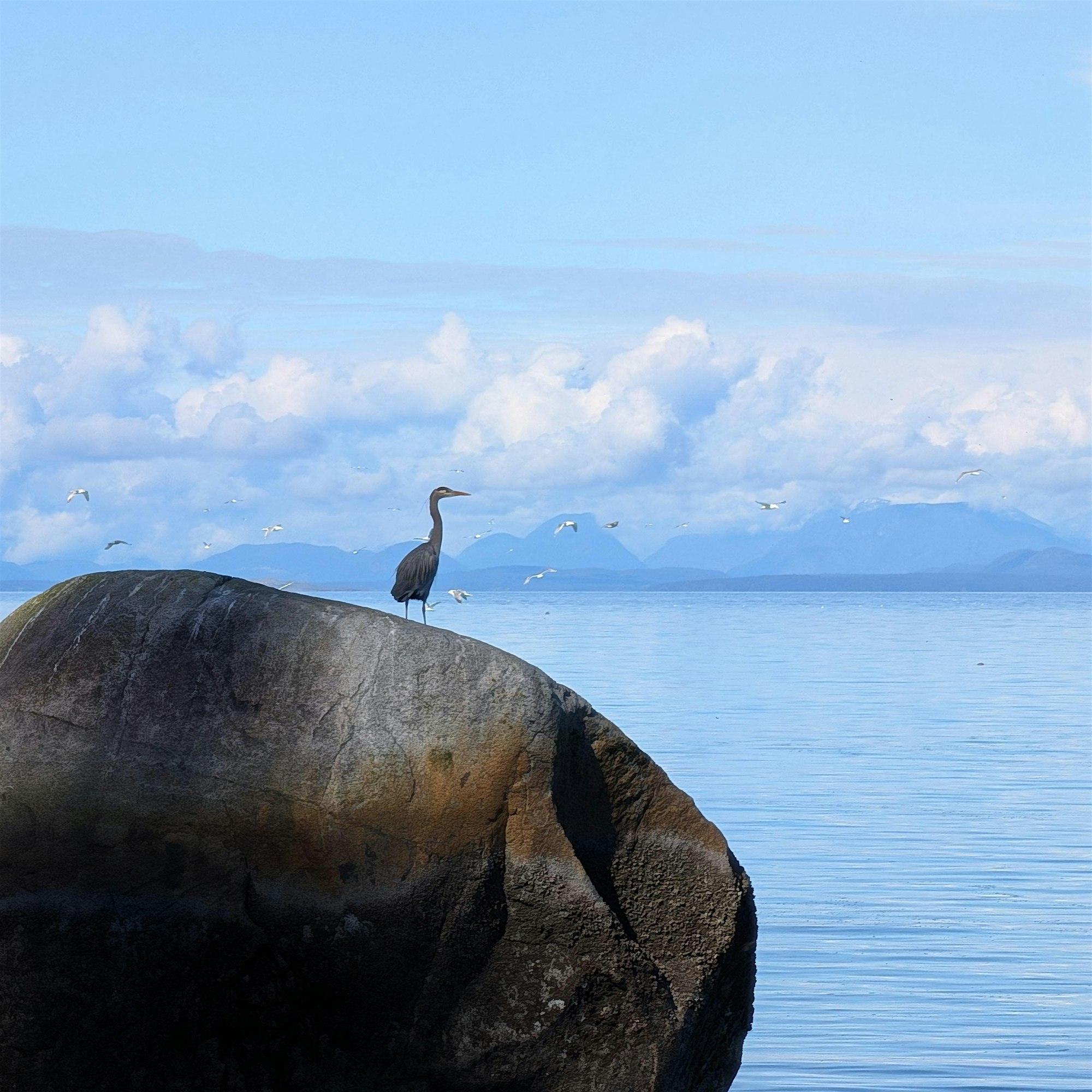 Seal Bay Nature Walk 1 b8aecd928ce057d770e6cfe85ac57343