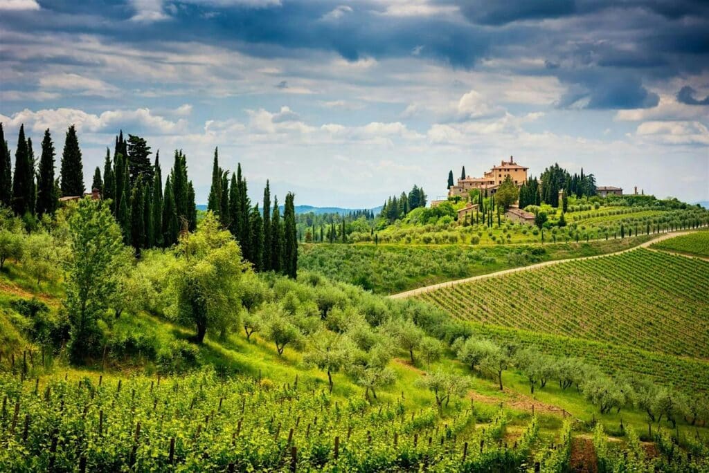 Road Trip Series: Tuscany 2 fec2f6e294609edc89c50c2f17c42f27